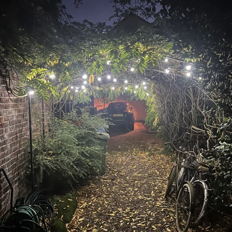 White G50 festoon lights strung over a leafy garden passage at night, with a brick wall and two bicycles beside a gravel path